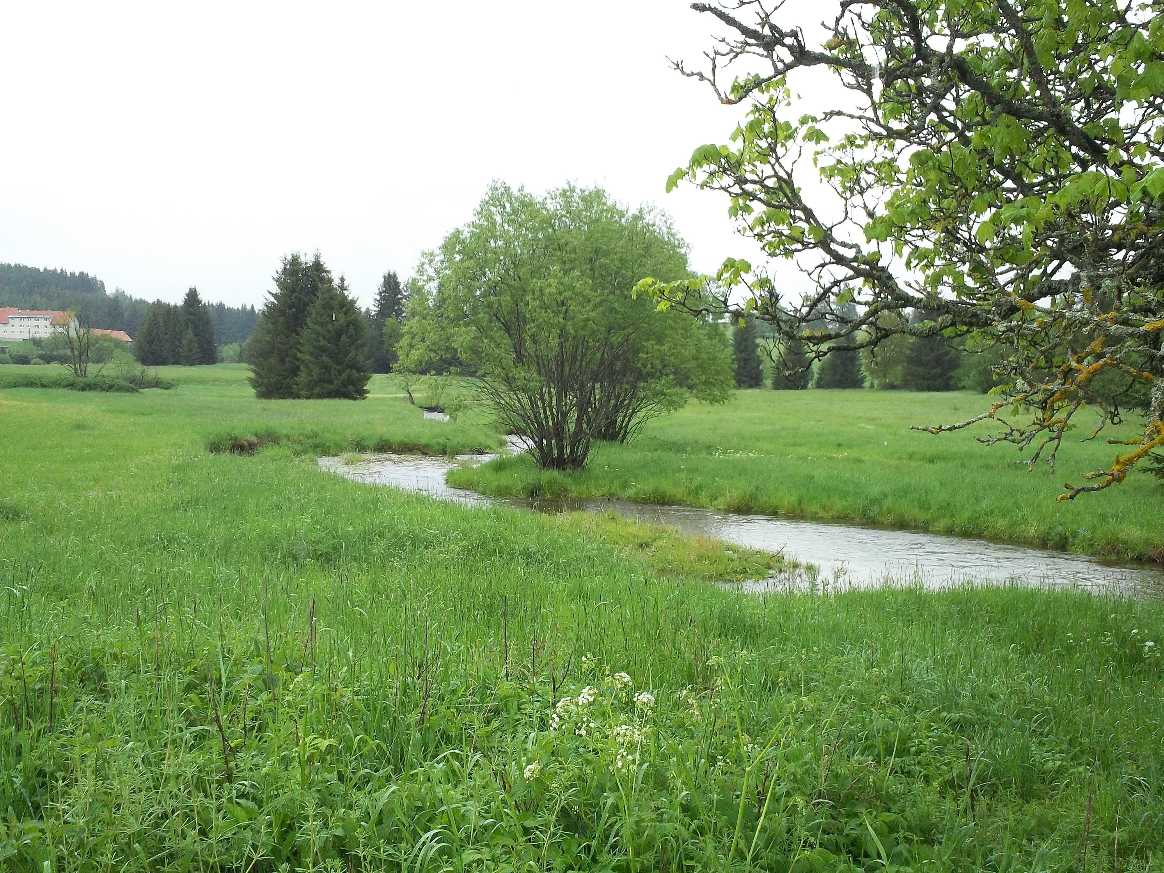 Arnoštov